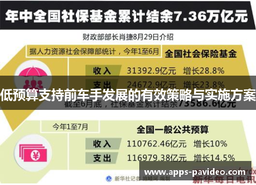 低预算支持前车手发展的有效策略与实施方案