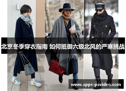 北京冬季穿衣指南 如何抵御六级北风的严寒挑战 北京冬季穿衣指南 如何抵御六级北风的严寒挑战