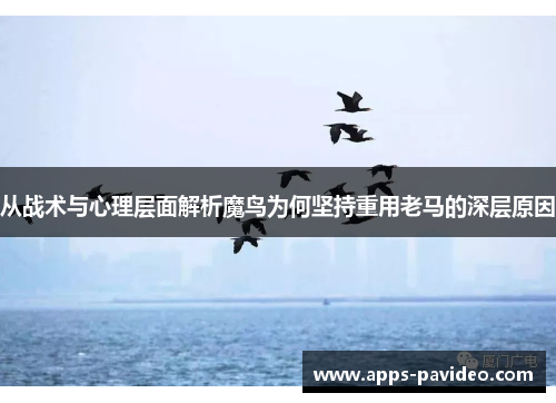 从战术与心理层面解析魔鸟为何坚持重用老马的深层原因 从战术与心理层面解析魔鸟为何坚持重用老马的深层原因