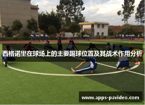 西格诺里在球场上的主要踢球位置及其战术作用分析 西格诺里在球场上的主要踢球位置及其战术作用分析