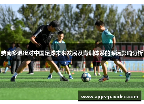 费南多退役对中国足球未来发展及青训体系的深远影响分析 费南多退役对中国足球未来发展及青训体系的深远影响分析
