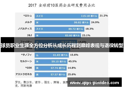 球员职业生涯全方位分析从成长历程到巅峰表现与退役转型